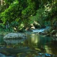 L’assalto mafioso ai parchi