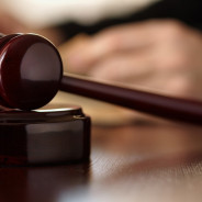 I Vas vincono la causa: “Gratis i costi di giustizia per gli ambientalisti”