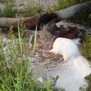 Pfas, annunciato monitoraggio. Qual è la reale situazione?