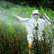 Glifosato: non serve vivere vicino ai campi per essere contaminati
