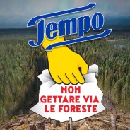 La foresta boreale si sta esaurendo per colpa dei fazzoletti