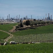 Sicilians take aim at oil ‘monster’ they blame for children’s birth defects