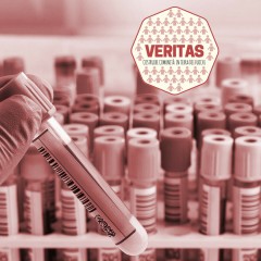 Veritas – Costruire comunità in Terra dei fuochi