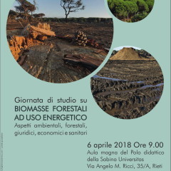 Biomasse forestali ad uso energetico