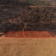 La distruzione di Chaco per la nostra carne