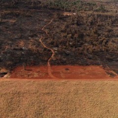 La distruzione di Chaco per la nostra carne