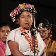 Marichuy, la voce negata dei diritti degli indigeni, delle donne e della natura