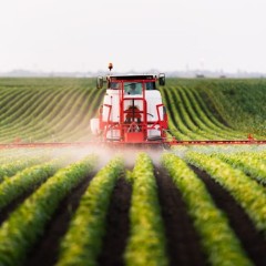 L’Ue apre la porta (sul retro) ai pesticidi cancerogeni