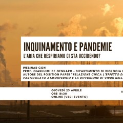 Inquinamento e pandemie: l’aria che respiriamo ci sta uccidendo?