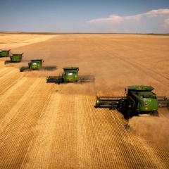 Quel legame pericoloso tra petrolio e cibo. Se crolla uno trascina l’altro