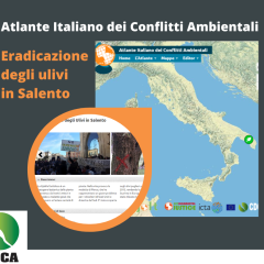 Atlante: eradicazione degli ulivi in Salento