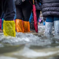 Sentinelle climatiche