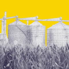 La decarbonizzazione secondo ENI – Il boom dei biocarburanti e i suoi effetti sui territori