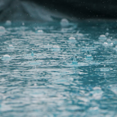 Una giornata mondiale dell’acqua per la campagna Giudizio Universale