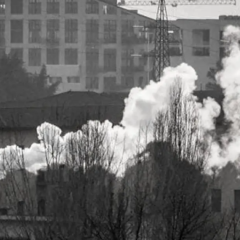 Corso online di videomaking e giornalismo ambientale d’inchiesta