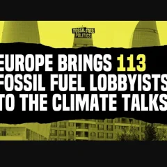 COP29: ecco i primi dati dei lobbisti fossili presenti
